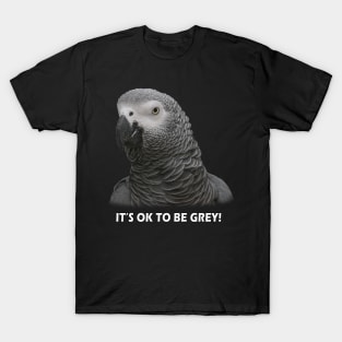 OK TO BE GREY T-Shirt